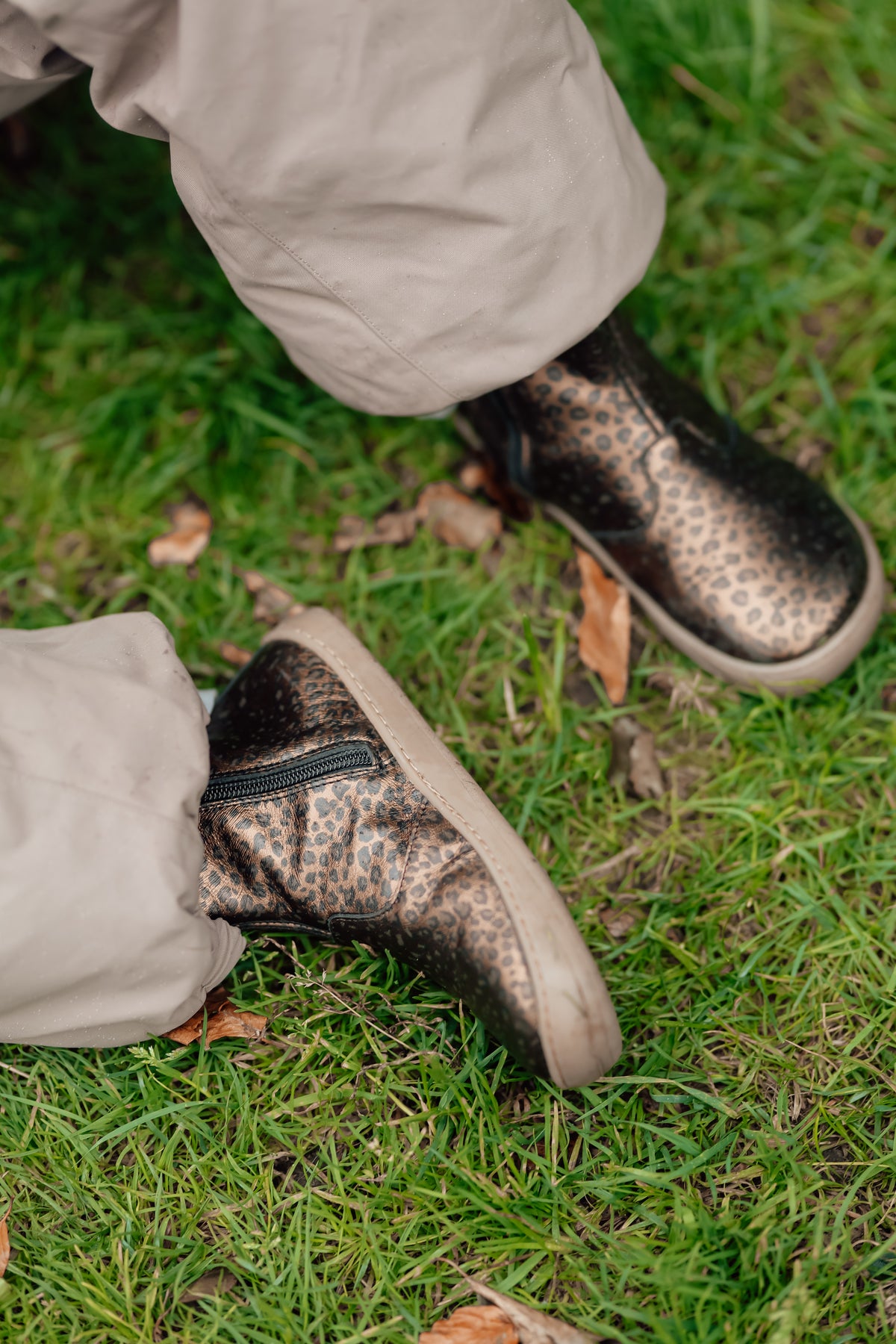 Chelsea Leopard Transitional Shoes